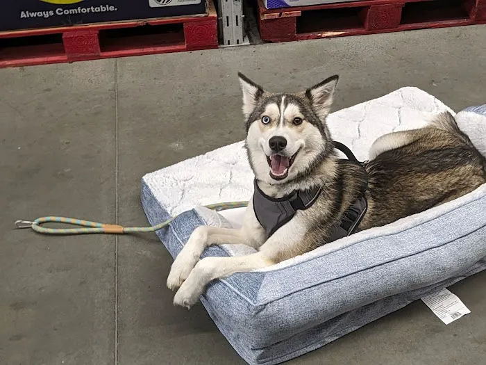Sam's Club 2