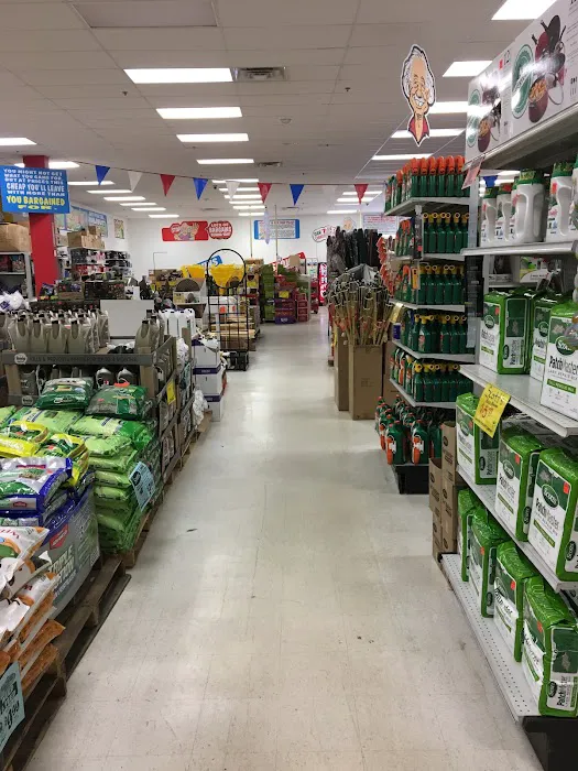 Ollie's Bargain Outlet 8