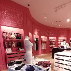 Victoria's Secret & PINK by Victoria's Secret ico