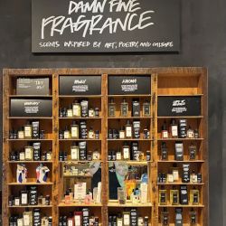 Lush Cosmetics Rockingham Park ico