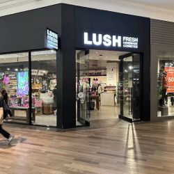 Lush Cosmetics Natick ico