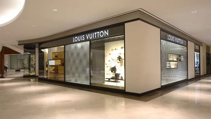 Louis Vuitton Natick 1