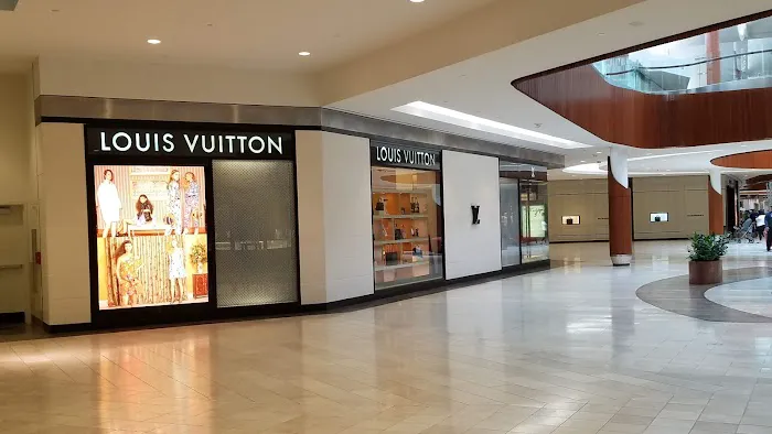 Louis Vuitton Natick 5