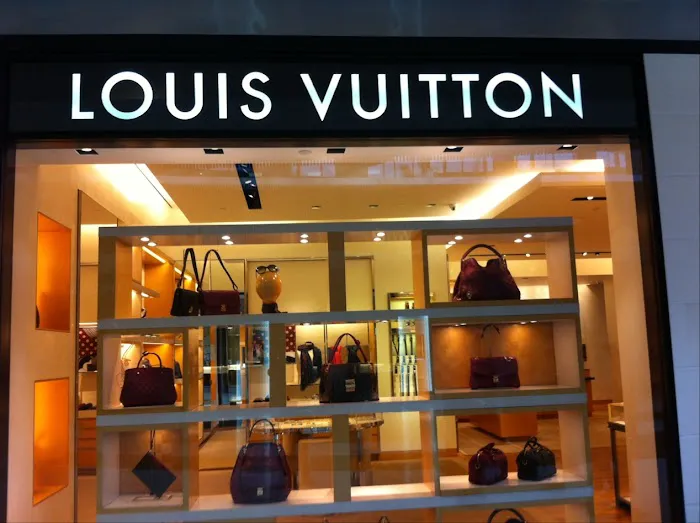 Louis Vuitton Natick 7