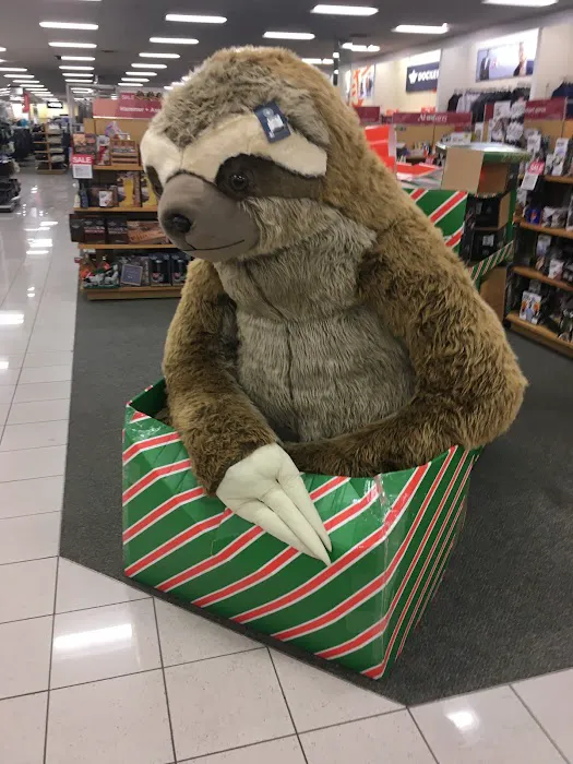 Kohl's 5