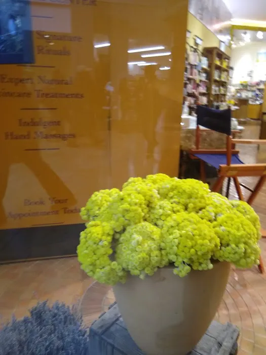 L'OCCITANE EN PROVENCE 6