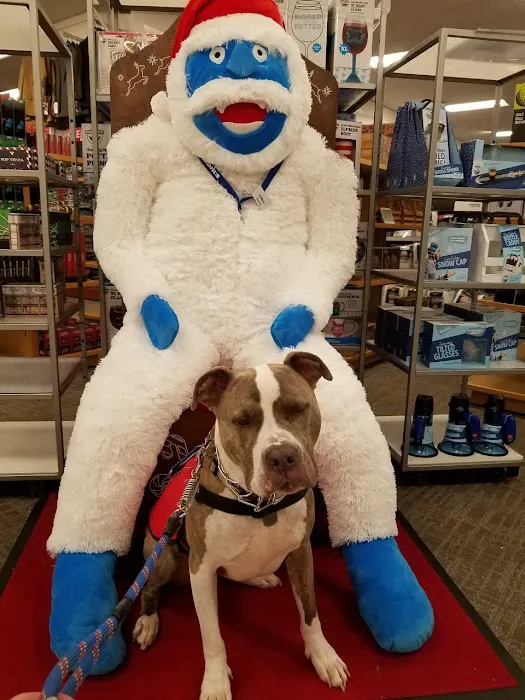 Kohl's 2