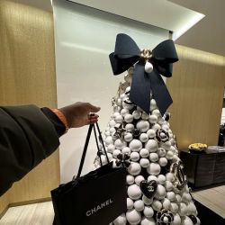 Chanel Boston ico