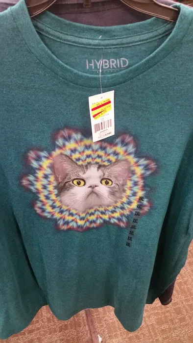 Kohl's 7