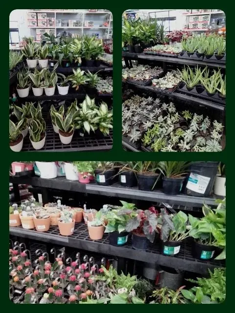Walmart Supercenter 3
