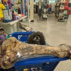 Ross Dress for Less ico