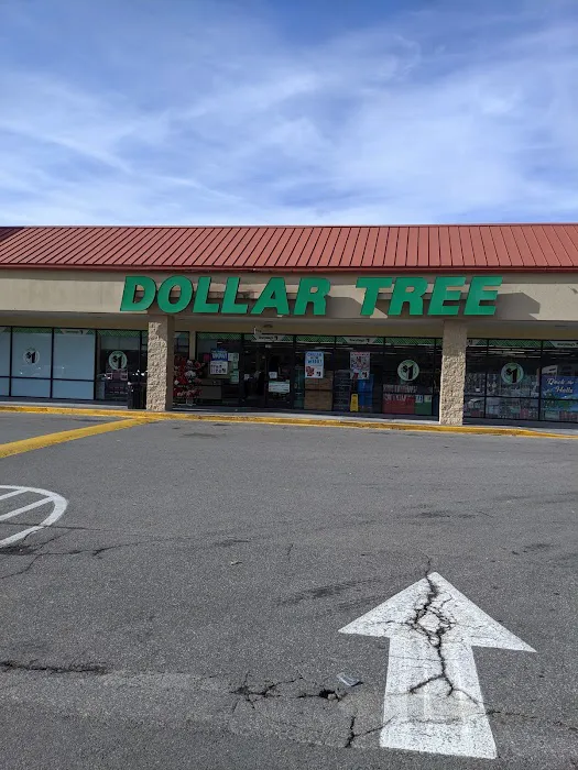 Dollar Tree 7
