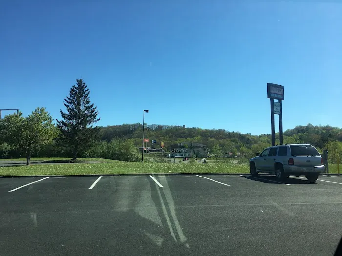 Dollar Tree 6