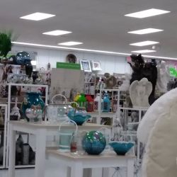 bealls ico