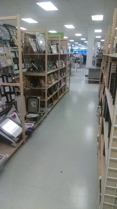 bealls 7