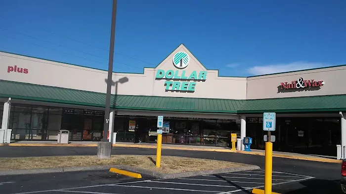 Dollar Tree 1