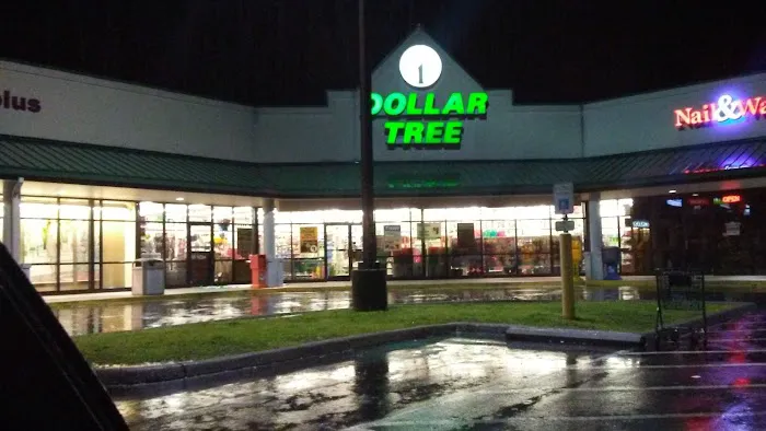 Dollar Tree 6