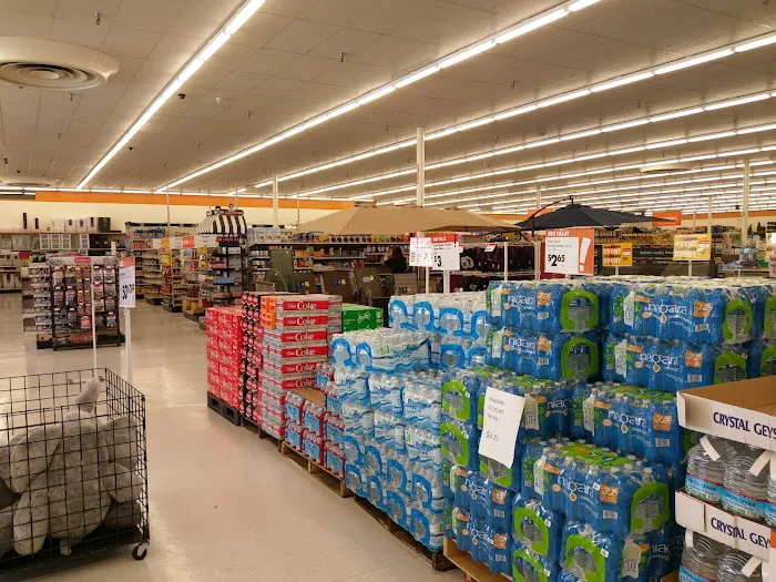 Big Lots 9