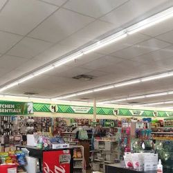 Dollar Tree ico