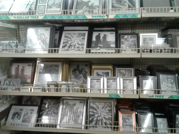 Dollar Tree 7