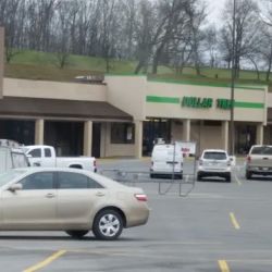 Dollar Tree ico