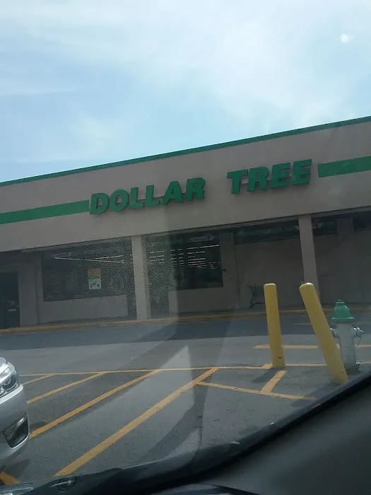 Dollar Tree 3