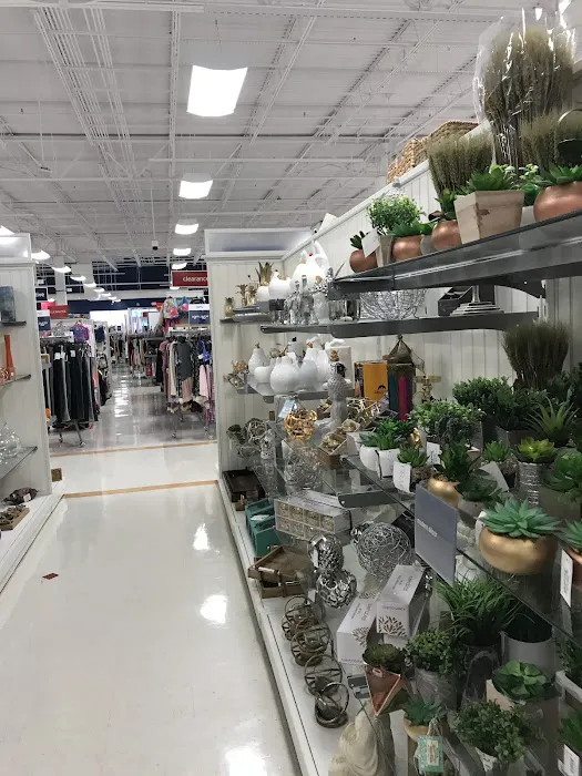 Marshalls 4