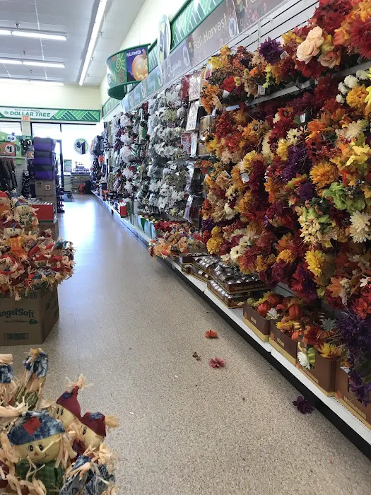 Dollar Tree 2