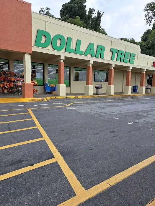 Dollar Tree 9