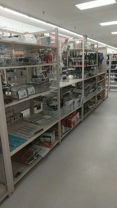 bealls 3