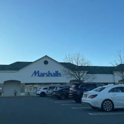 Marshalls ico