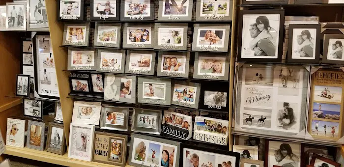 The Paper Store 5
