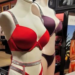 Victoria's Secret & PINK by Victoria's Secret ico