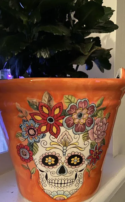 Marshalls & HomeGoods 5