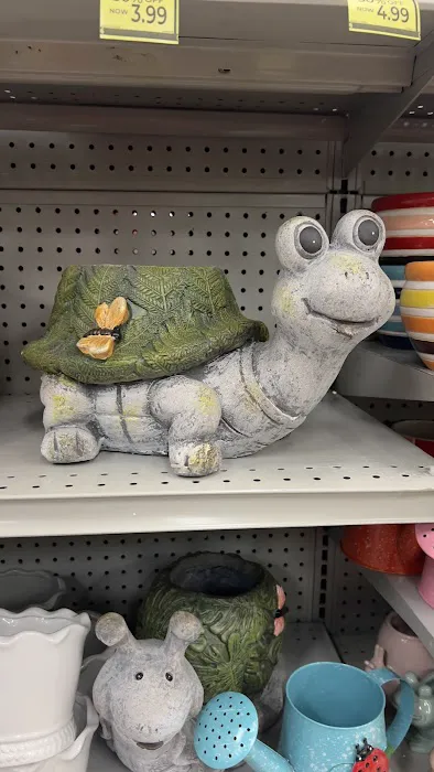 Rite Aid 7