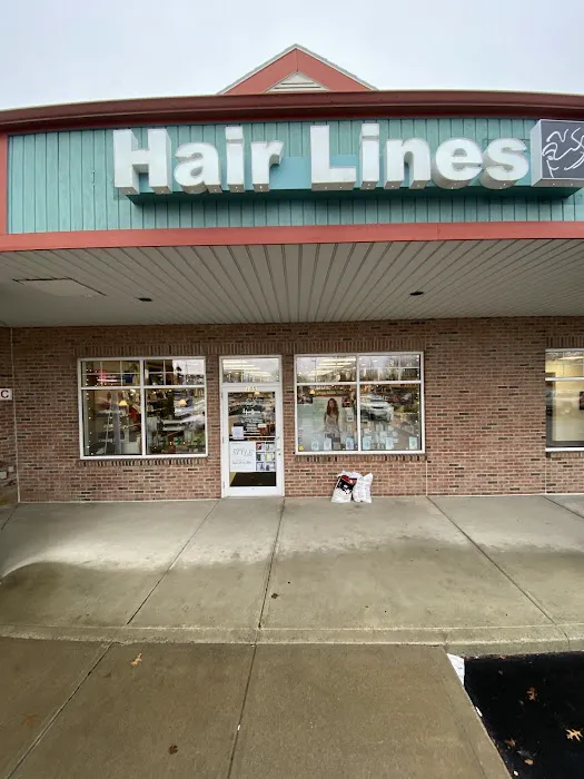 Hairlines 1