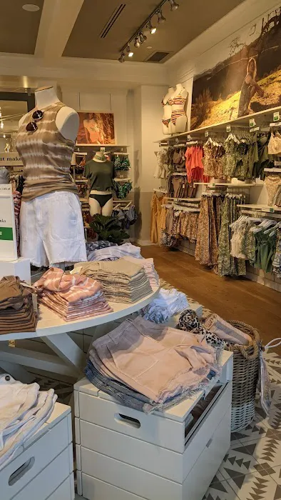 Aerie 6