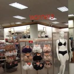 Kohl's ico