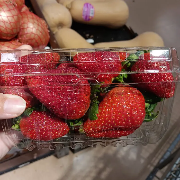 Food City 8