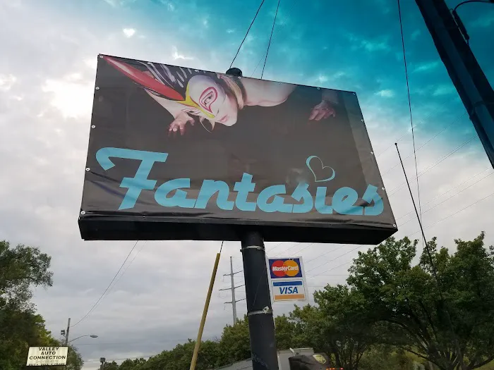 Fantasies 6