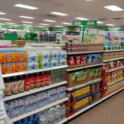 Dollar Tree ico