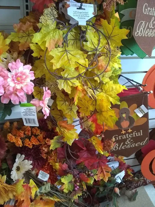 Dollar Tree 6