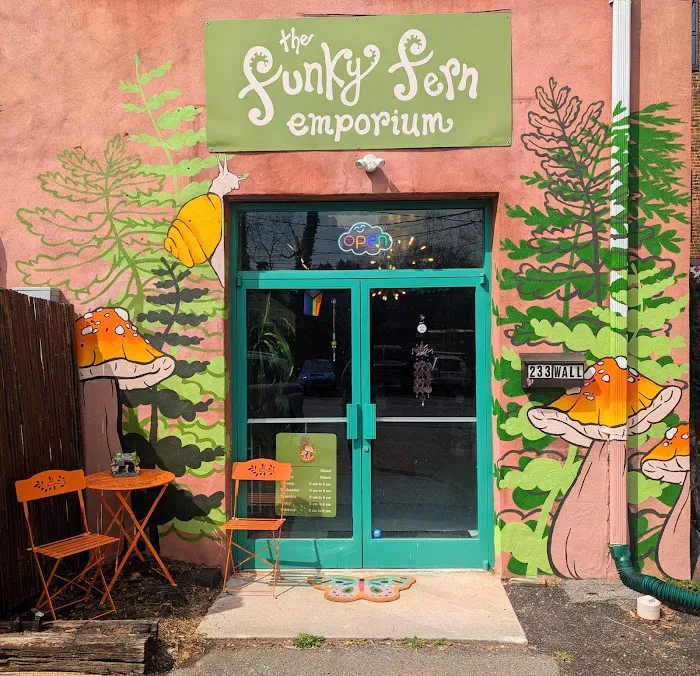 The Funky Fern Emporium 1