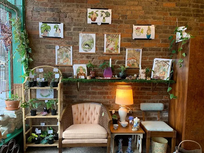 The Funky Fern Emporium 3