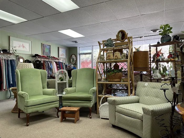 The Funky Fern Emporium 7