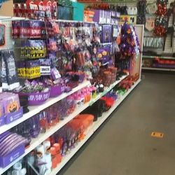 Dollar Tree ico