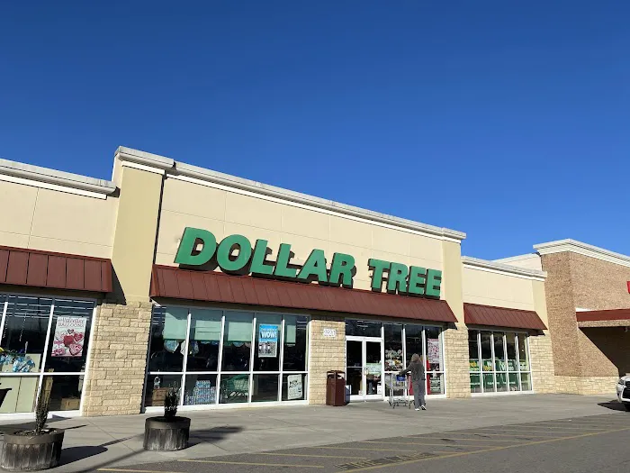 Dollar Tree 4