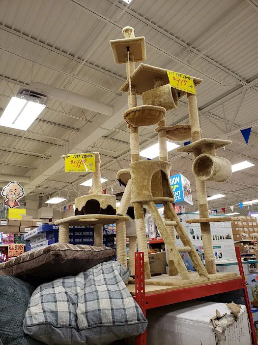 Ollie's Bargain Outlet 4