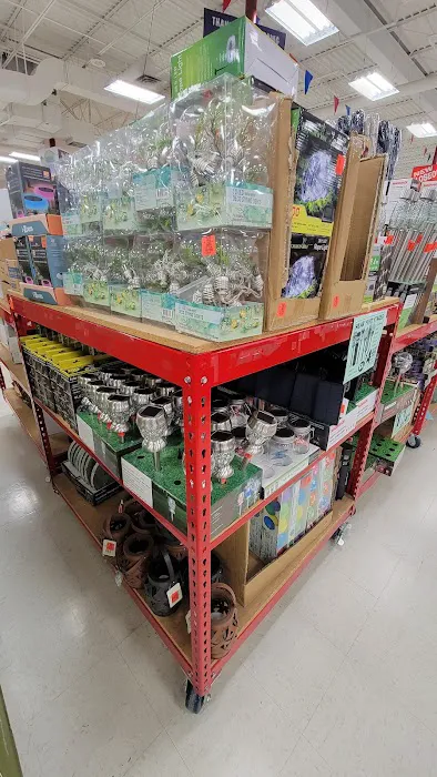 Ollie's Bargain Outlet 3