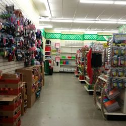 Dollar Tree ico